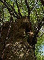 Monpoos_20130530_057